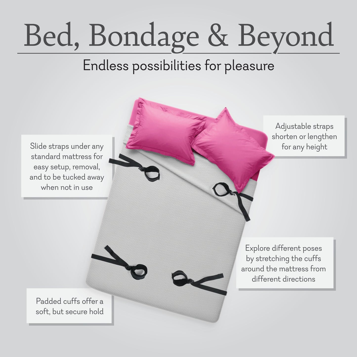 Bed, Bondage, and Beyond
