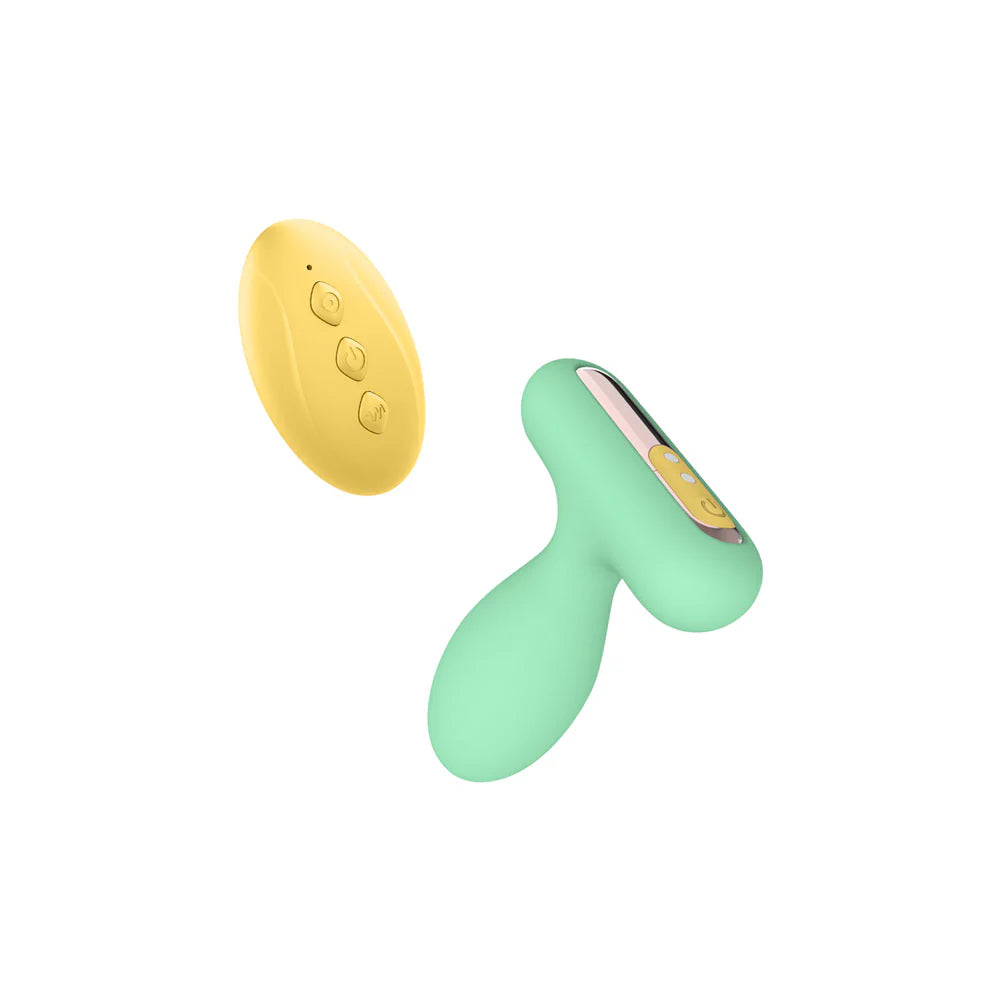Nest (Vibrating Bullet Set)